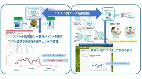 営農管理アプリ「スマート栽培暦（水稲用）」と多機能型自動給水「水まわりくん」が機能連携を開始