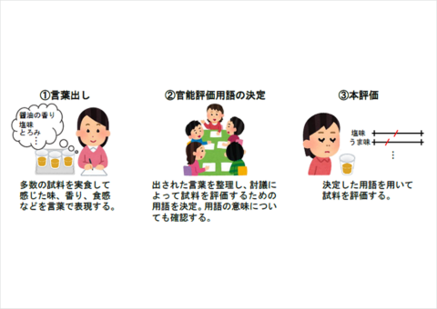 農研機構、植物性食品の食味向上に向けた官能評価法を開発