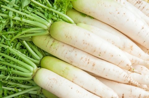 【2023年11月 野菜市況】前半は高値傾向、後半にだいこんやはくさいが平年並みの価格に