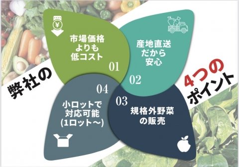 クールコネクト、コンビニや飲食店向けに業務用野菜の宅配サービスを開始