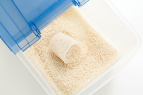 梅雨はお米のカビ・虫に注意！ 正しい保管方法と湿気対策