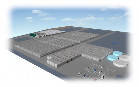 ファーマインド、大規模いちご農園を茨城県稲敷市に開設 2025年12月の収穫を目指す