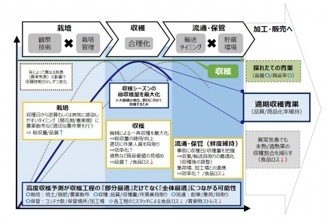 東大生研とエア・ウォーターが共同研究成果を発表、ブロッコリーの収穫適期を高精度で予測