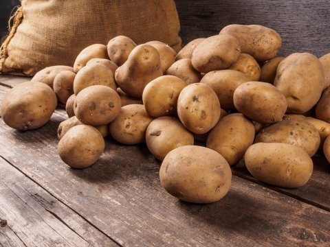 【2024年5月 野菜市況】馬鈴しょがお買い得に、価格が落ち着く野菜も増加