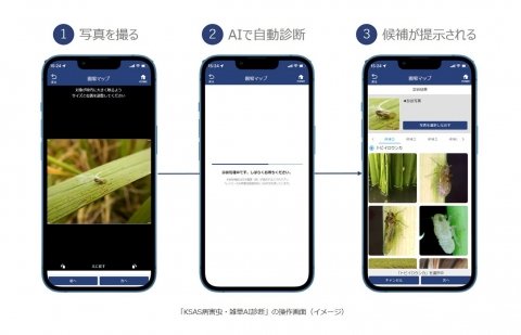 クボタ、営農支援システム「KSAS」に病害虫・雑草AI診断機能を追加