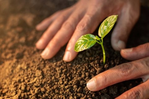 農水省、食料・農業・農村基本法改正法に関する説明会を全国11ブロックで開催