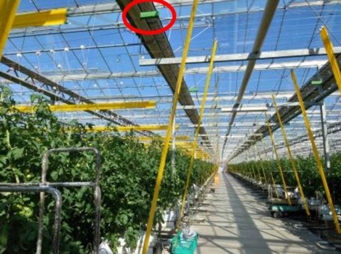 九州大学ら、振動を利用した害虫防除技術の研究成果を発表 収量アップにも期待
