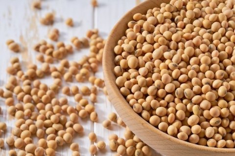 農研機構が開発した大豆新品種は国産大豆の収量増を実現できるか【特集：日本の米・麦・大豆の行方 第3回】