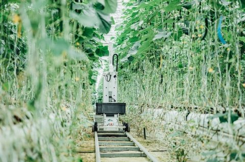 AGRIST、AIを活用したキュウリ収穫ロボットをJA全農ぐんまの実証農場に導入
