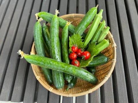 【農家コラム】農家の嫁、55歳からの就農。農作業の苦労とネット販売に挑戦した話