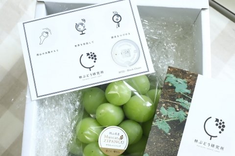 林ぶどう研究所とシティーデジタル、ブロックチェーン活用した育種の収益還元システム構築に向けた実証実験を開始