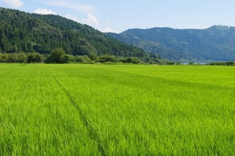 2025年の日本の農業はどうなる？ 「令和7年度農水概算要求」に見るスマート農業の役割