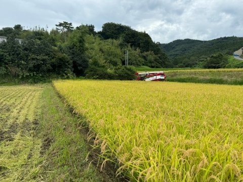 【農家コラム】農家の嫁、55歳からの就農。安心・安全な食材への思いと有機栽培