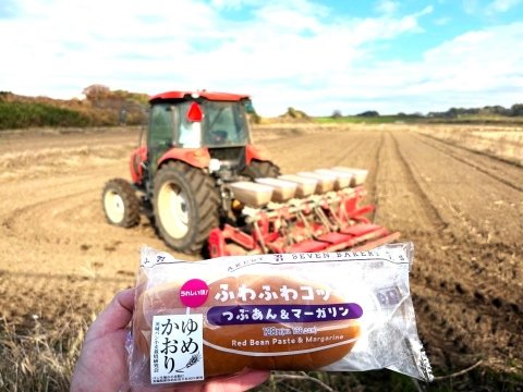 茨城パン小麦栽培研究会の国産小麦「ゆめかおり」がセブンイレブンに採用された理由【特集：日本の米・麦・大豆の行方 第4回】