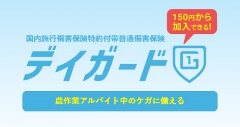 1日農業バイトアプリ「daywork」で利用できる傷害保険「デイガード」が登場