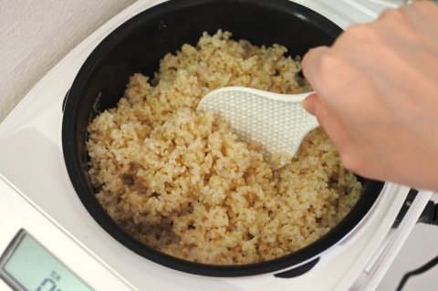 炊飯器の「玄米モード」なら浸水なしで玄米を炊いてもいい?