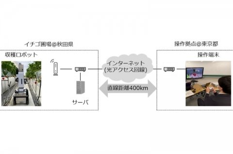 NTTグループ、遠隔収穫ロボットで400km離れた場所のいちご収穫に成功
