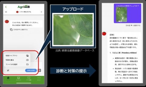 JAレーク滋賀、営農指導力の維持・強化に向け「栽培アシストAI」を試験導入