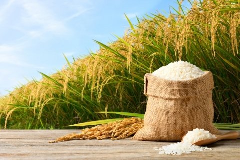 米高騰の原因と言われる「概算金」は必要悪？ 米農家・消費者それぞれの立場から考える
