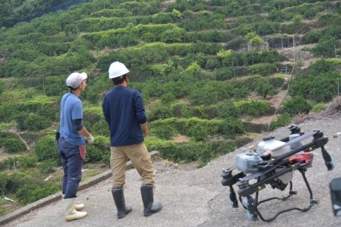 【インタビュー】 かんきつ類ドローン防除最大のメリットは“時間短縮” （早和果樹園・山中さん）