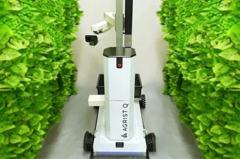 AGRIST、24時間収穫を実現するキュウリ自動収穫ロボット「Q」を発表 2026年にレンタル開始予定