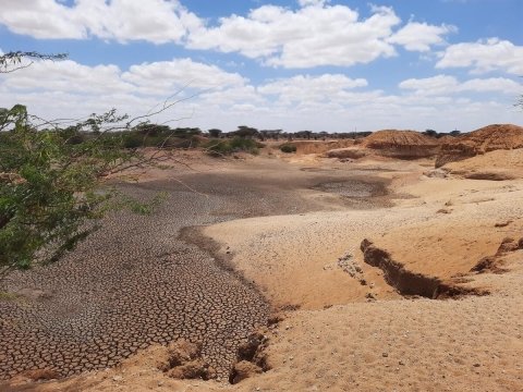 「世界食料農業白書」発表、世界的に土地の劣化が深刻化していると警告