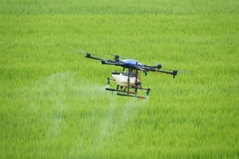 除草剤の「効かなかった」を防ぐためにできること──移植直後7日の初期除草設計戦略