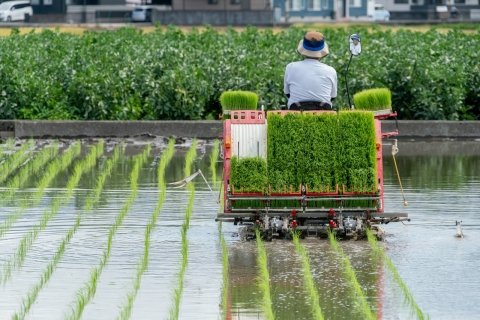 農業における作業委託の実情は？ 農作業をアウトソーシングするためのコツ
