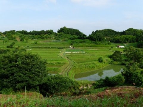 稲作の作業環境を変える「水田区画整理」 制度・補助金・地域事例を整理