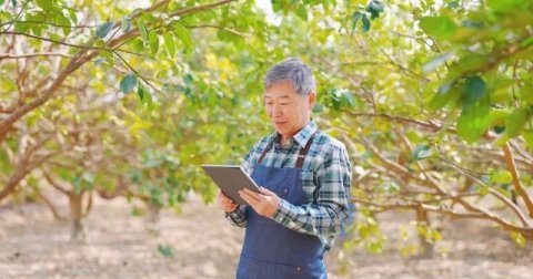 データ農業で見極める「バイオスティミュラント」の使い方