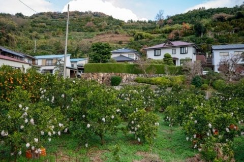 傾斜地のドローン防除で重要な「事前測量」とは？ 高精度測量と3Dマップで作業効率＆効果アップ