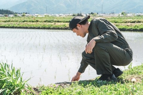 水稲の初期生育を左右する「土壌の物理性」を知ろう｜5〜6月に確認したいポイント