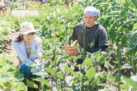 【農政ニュース】 2026年の農政トピックを理解するための考え方