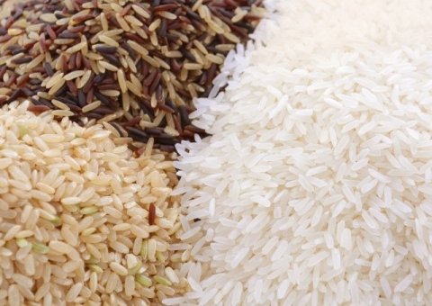 【連載 農業と貿易 第4回】 日本のコメは世界で売れるのか ―農産物輸出と日本農業の未来