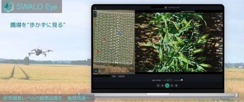 クロロス、“圃場を歩かずに見る”圃場観察システム「SWALO Eye」を提供開始