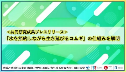 岡山大学ら研究グループ、「水を節約しながら生き延びるコムギ」の仕組みを解明