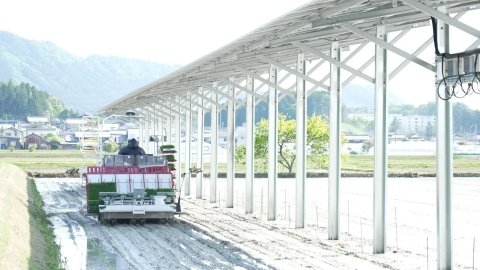 水田で営農型太陽光発電に取り組む「SAVE THE FARMS by YANMAR SHIGA RITTO」が滋賀県に開所