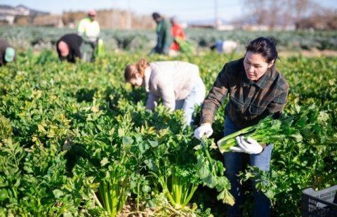 農業の大規模化で失敗しないために｜規模拡大前に考えたいこと