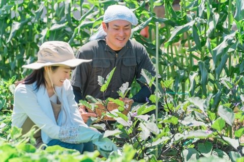 農業のスキマバイト活用は梅雨の準備がカギ！ 夏の収穫・出荷前に整えたい受け入れ方