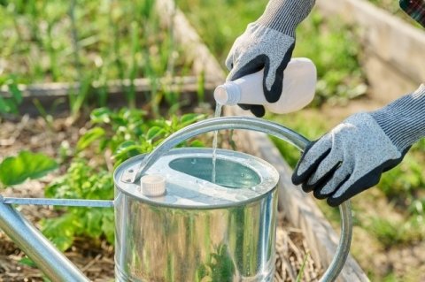 バイオスティミュラント（BS剤）は本当に元が取れるのか？ 効果とROIの確かめ方