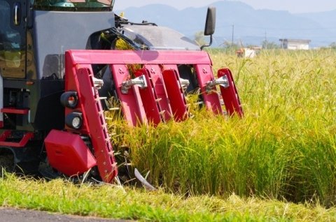 「コンバインが入れない」を防ぐ！ 8〜10月の水稲収穫期に確認したい7つの準備