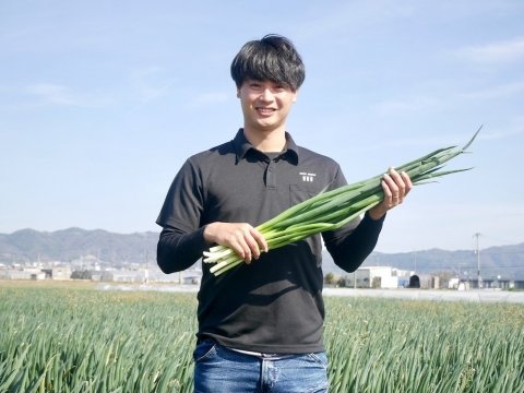夏場のねぎ防除はドローン委託でどう変わる？ 10aあたり約10分、こと京都が語る作業負担軽減の価値 【前編】
