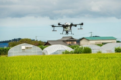 夏の異常気象に備えるためのスマート農業技術 5選