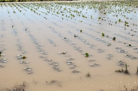【9月1日は防災の日】 台風・豪雨・地震から農園を守るために ━━被災事例から見えた「事前準備と直後にとるべき行動」
