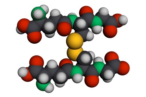 WAKUと福井大学、グルタチオンを活用したバイオスティミュラント共同研究を開始