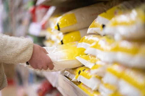 2026年産新米、米価下落でどう売る？ 農家が新米販売で考えたい「売り時」と「販路選び」