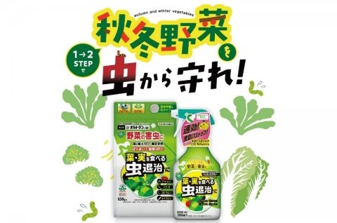 KINCHO園芸、秋冬野菜を害虫から守る「葉・実を食べる虫退治粒剤 家庭園芸用GFオルトラン粒剤」を発売