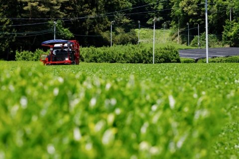 農機の補助金は“欲しい機械”だけで選ばない｜2026年最新の対象・条件・締切