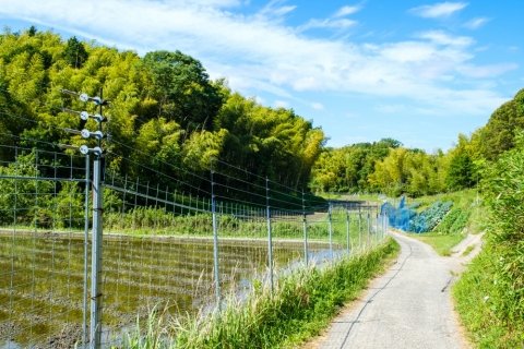 【話題のニュース】 相次ぐ農作物の盗難を防ぐには？ 圃場・果樹園で実践したい4つの対策