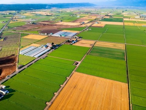 稲刈り後の今が好機！ 来年の作業効率を改善する「小規模区画整備」のすすめ